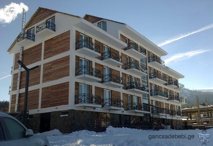 mgzavrebi Hotel for rent in Bakuriani, 1-room apartment, 2nd floor