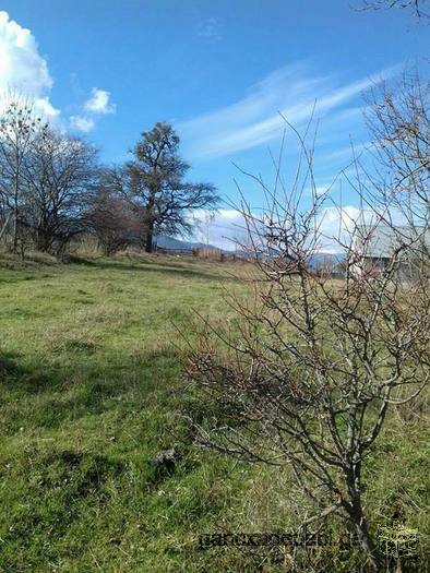 Borjomi village région Mzetamze de terrain pour la moitié de logement 17 miasedi cadeau nakhevapi de