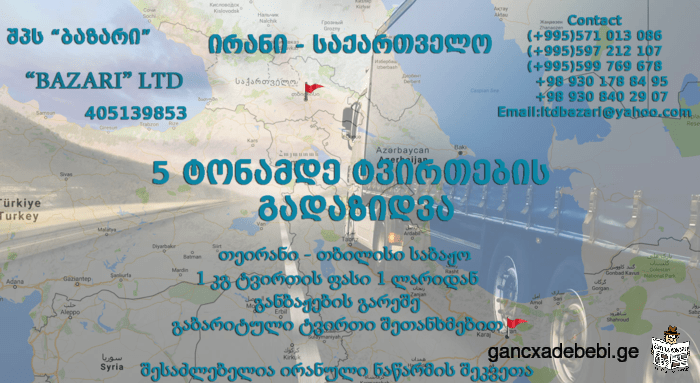 Up to 5 tons of cargo shipping from Iran to Georgia