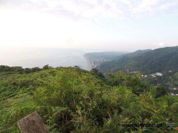 Land for sale in Batumi