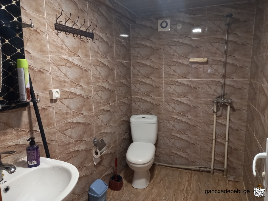 Rooms for rent 1 person 25 GEL in Zugdidi Kostava street # 31