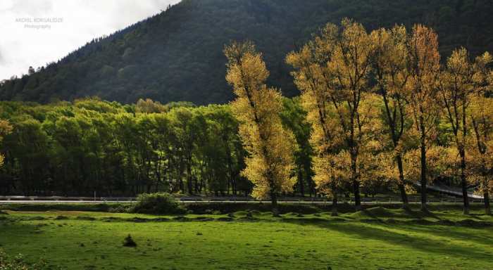 ქირავდება კეთილმოწყობილი კერძო სახლი