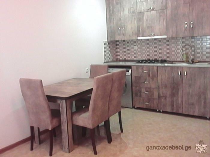 Rent apartment in Didi digomi (two rooms)