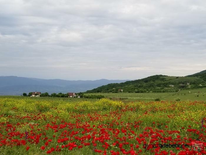 The land for country house