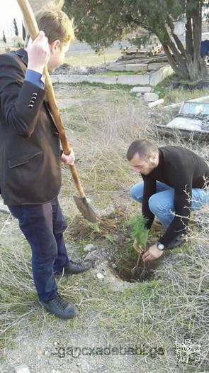 viwvevT moxaliseebs arasamTavrobo organizaciaSi saqvelmoqmedo aqtivobebSi CasarTavad