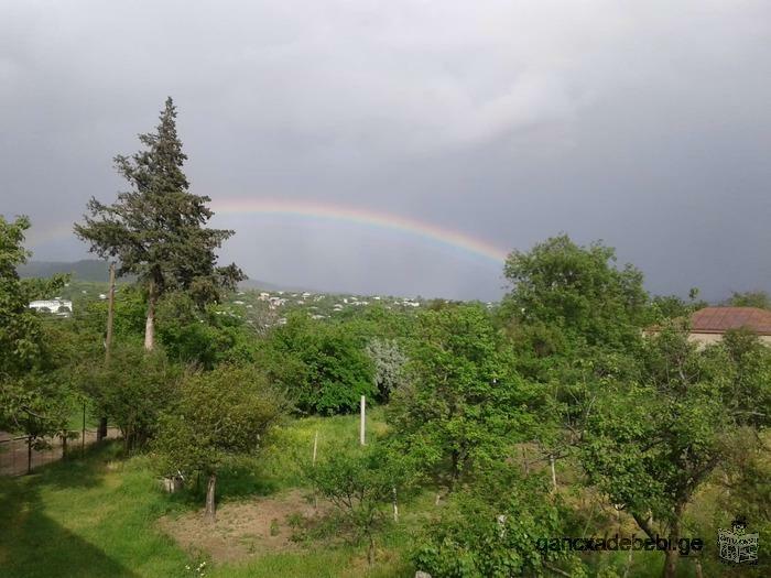 ქირავდება საგარეჯოში სამსართულიანი სახლის პირველი და მეორე სართული