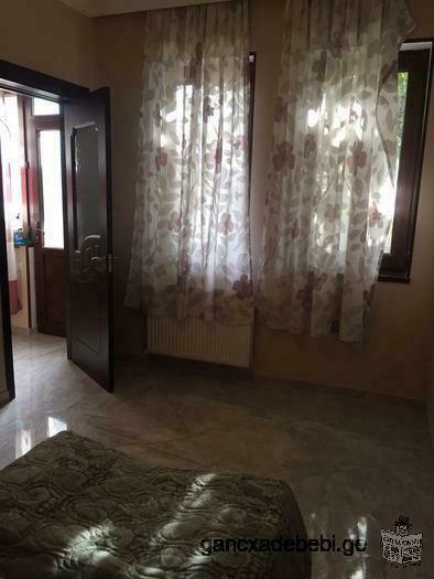 2 rooms apartment in Avlabari, 300 meters from the Metekhi cathedral