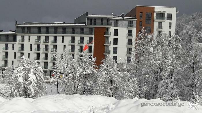 Rent apartments in ORBI Palace II near the Didveli ski lift