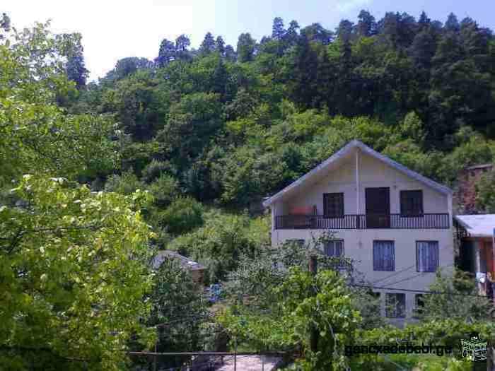 House for rent in Borjomi