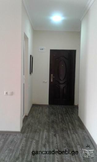 Flat for rent in Batumi