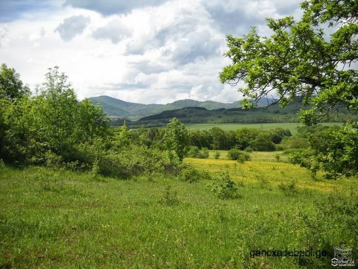 Agricultural land for sale in Tetritskaro