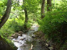 For the most beautiful in the Borjomi valley (village Likani)