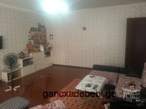 Urgently, 1-roomed apartment for