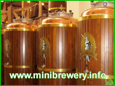 Beer brewing equipment