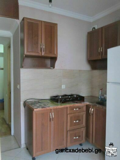 Renting an appartment in Dolidze Saburtalo street