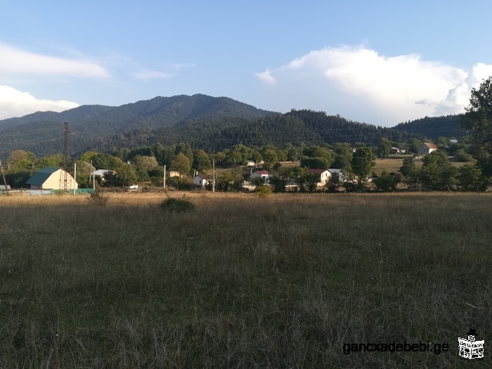 სასწრაფოდ ! იყიდება მიწის ნაკვეთი ცემში