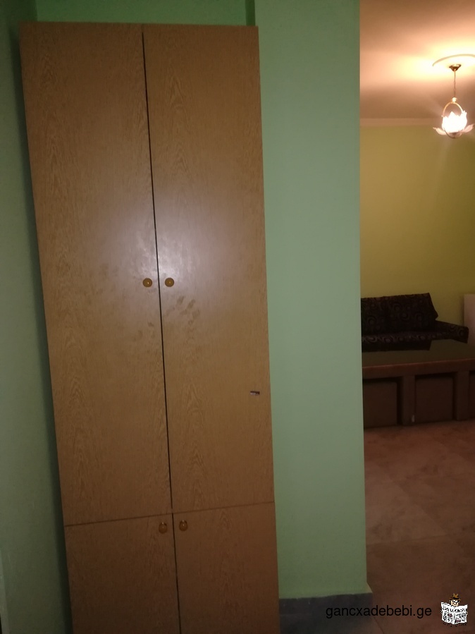 Apartment For Rent in Tbilisi