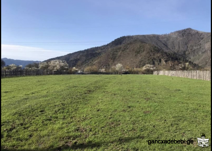 iyideba nakveTi sof.sadgerSi(borjomi)