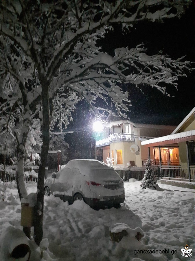 Bienvenue à Borjomi, Tsemi.