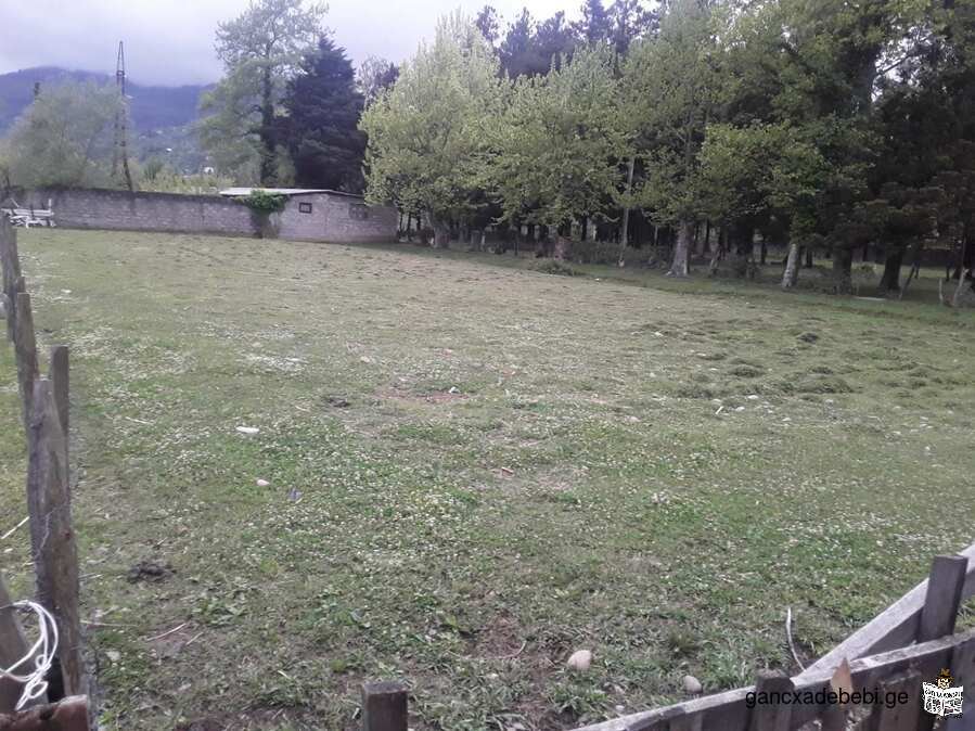 Land for sale in Batumi