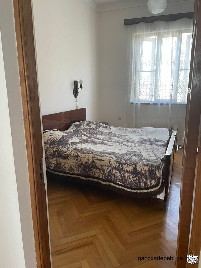 сдается дом / house for rent / qiravdeba saxli