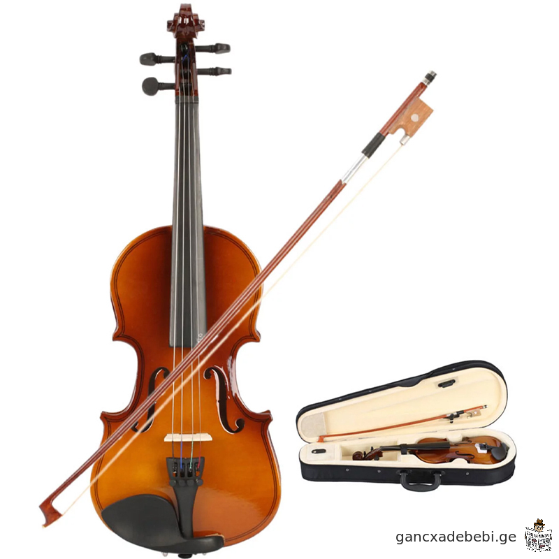 violino