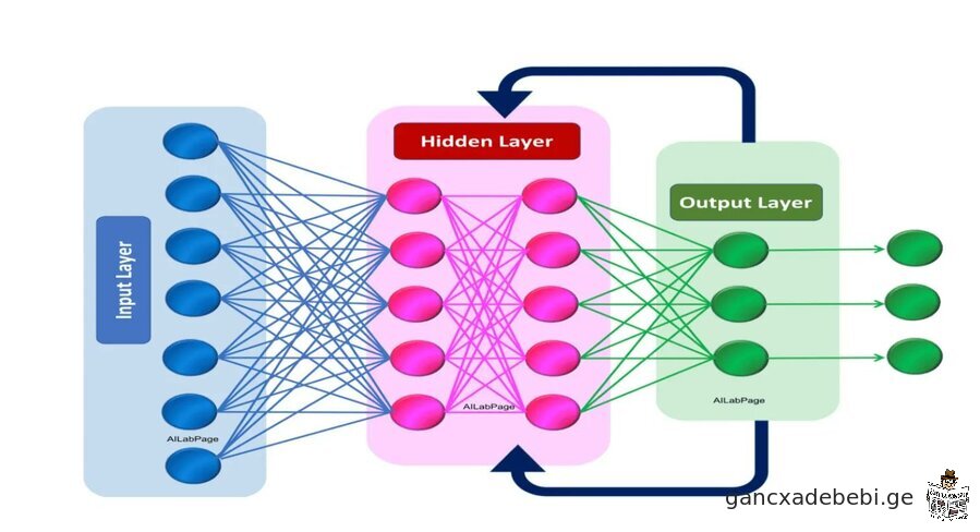 🌟გაათავისუფლე შენი შინაგანი AI ექსპერტი: ნეირონული ქსელის საბოლოო გაკვეთილი!🌟