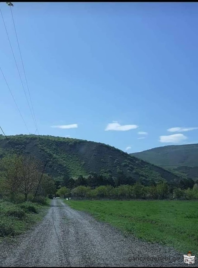 იყიდება სააგარაკე მიწა თბილისიდან 15 -20 წუთის სავალზე