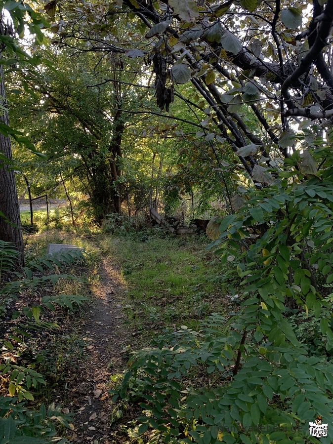 saswrafod, iyideba miwis nakveTi