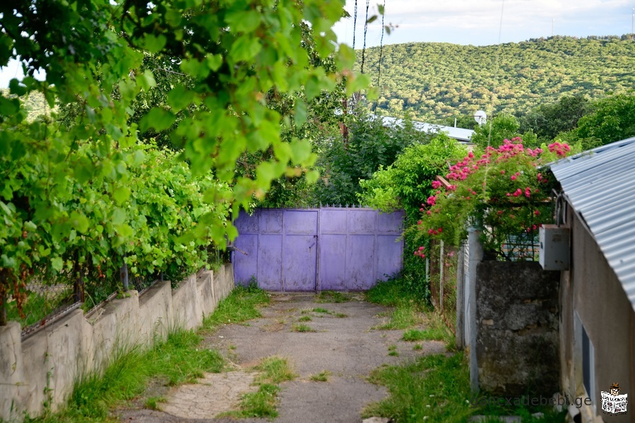 saswrafod iyideba nakveTi kojorSi