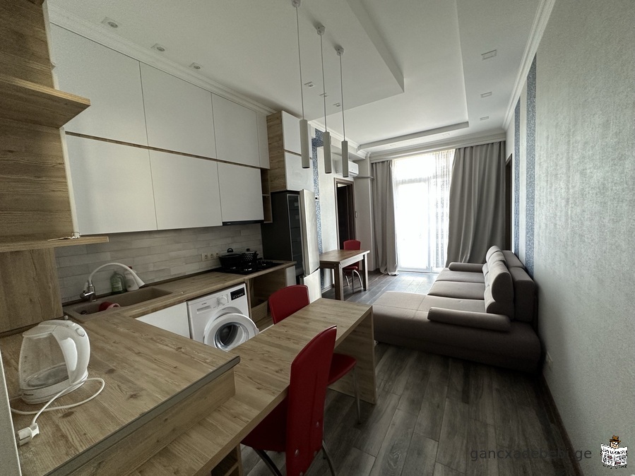 For long-term rent, an apartment in Tbilisi