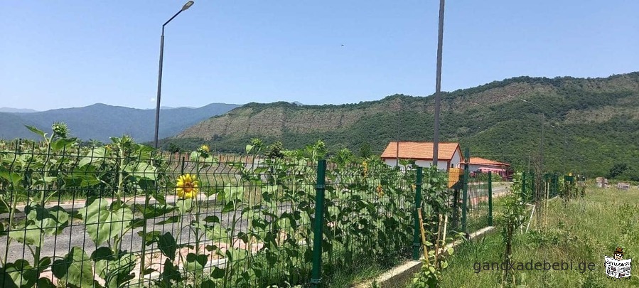 A land for sale in Kvareli, Kakheti