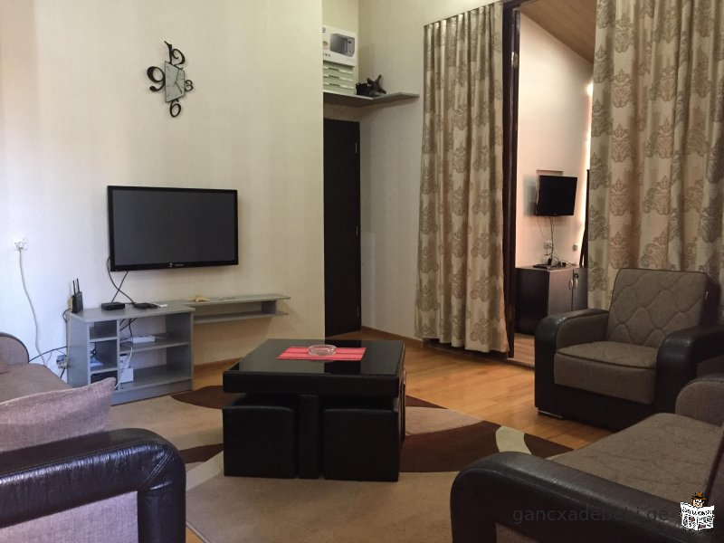 A newly renovated two-room apartment for rent in the city center