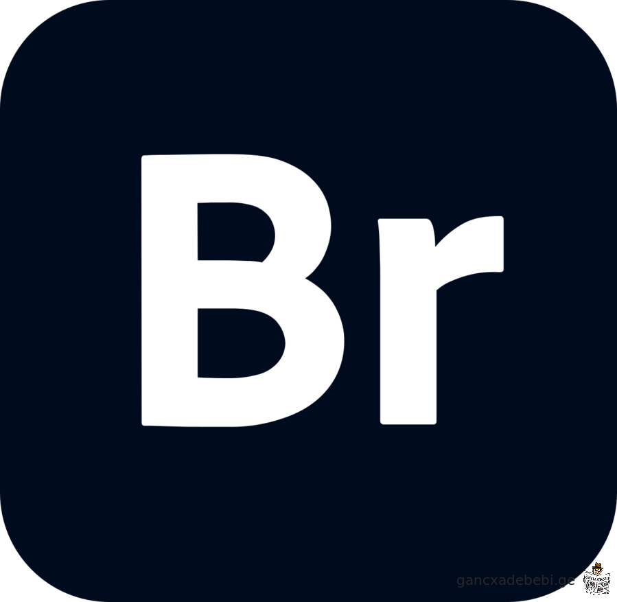 Adobe Bridge - ის დაყენება