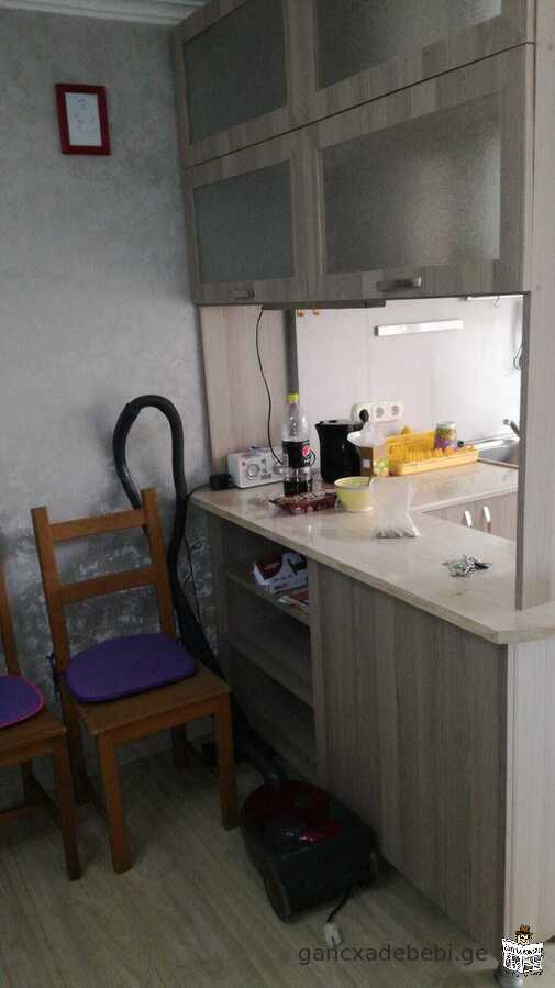 2-room apartment for rent in the center of Tbilisi