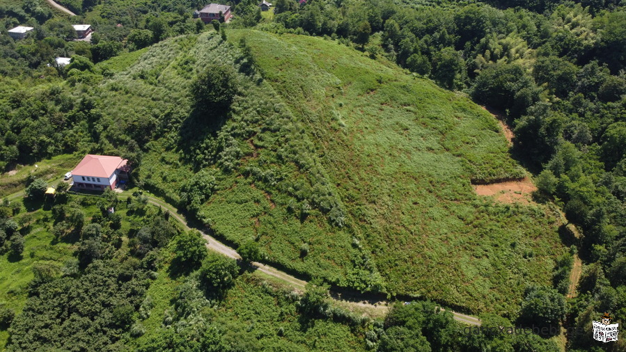 земли несельхоз в Чакви ,Чайсубани, Ортабатуми, Чарнали