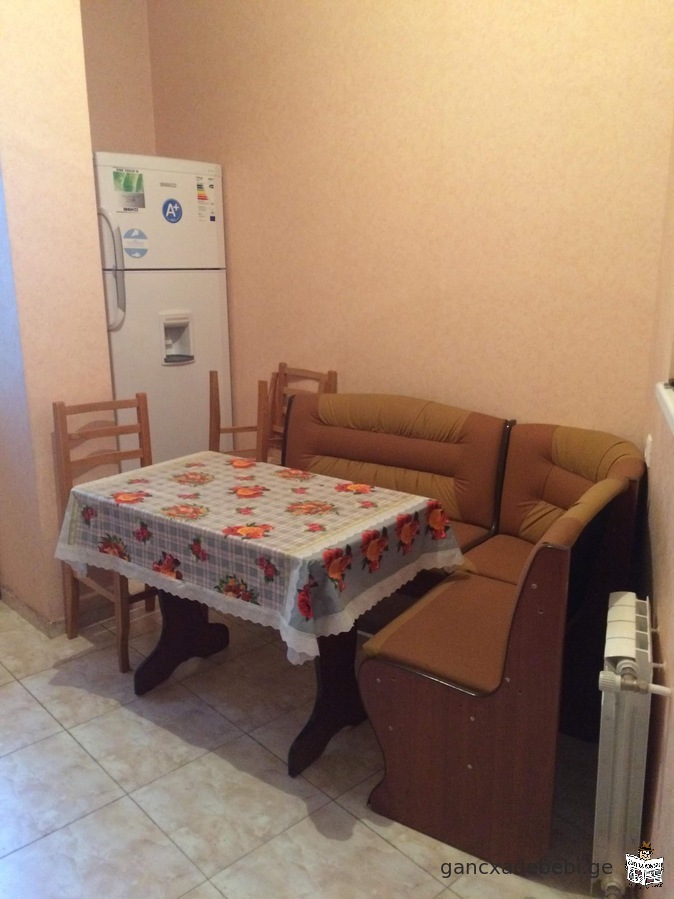 An apartment for rent on Dolidze Street.