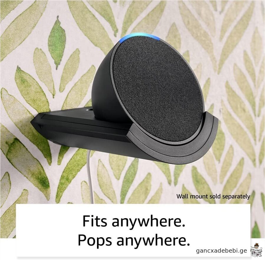 Amazon Alexa kompaqturi Wkviani dinamiki