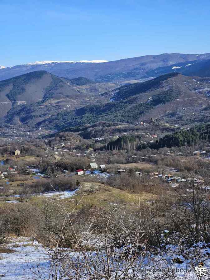 იყიდება მიწის ნაკვეთი რაჭაში, ნიკორწმინდაში