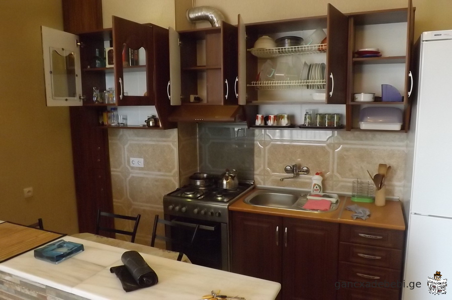 Apartment for rent near metro Didube