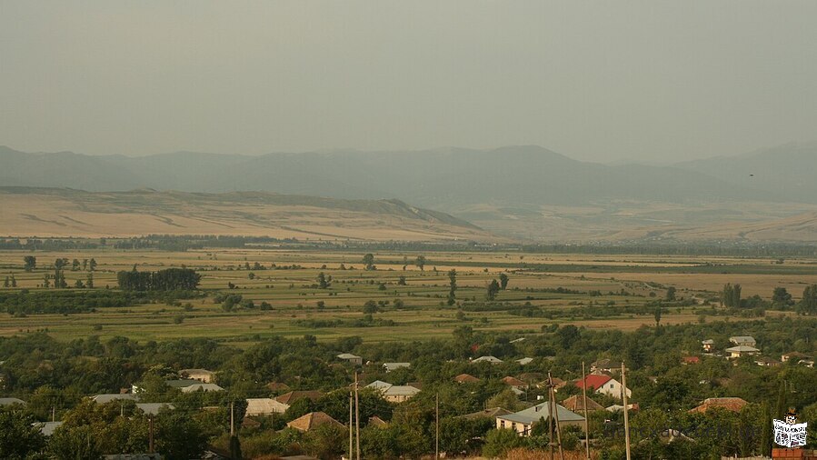 მიწის ნაკვეთი წილკანში