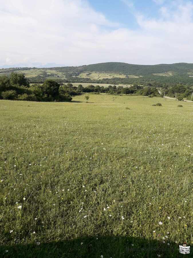 iyideba saxlis an sastumros asaSenebeli miwa