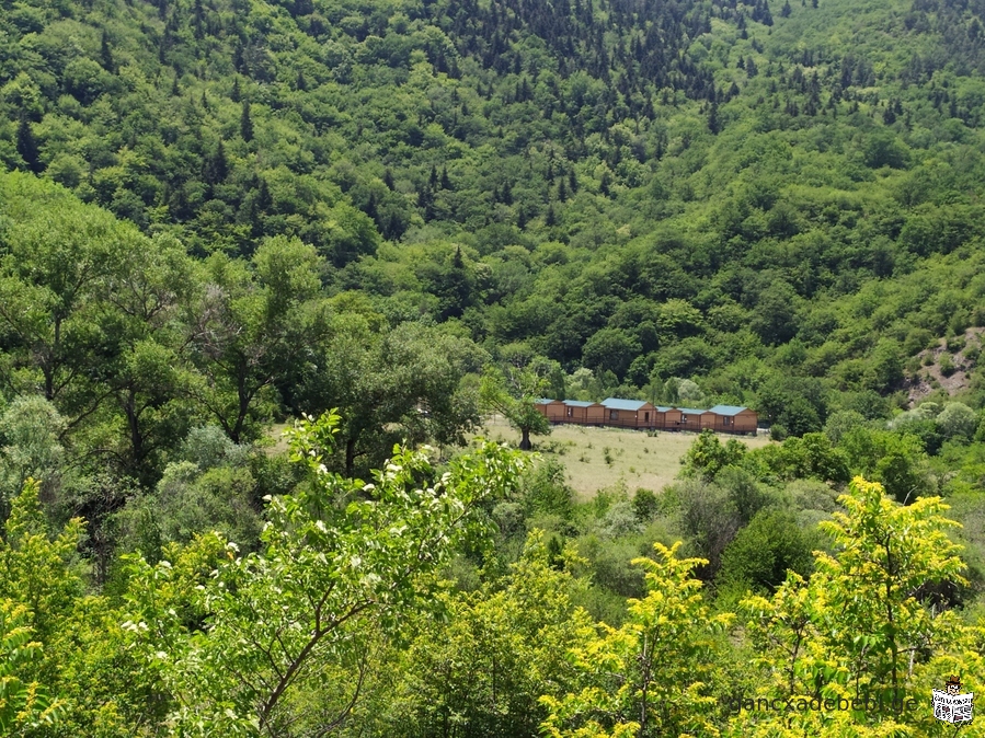 ვეძებთ დიასახლისს