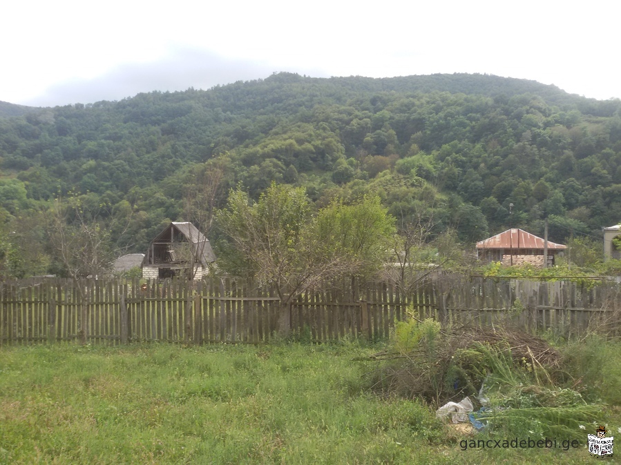 Продается, Харагаульский муниципалитет, село Усадебный участок 673 кв.м в Борите