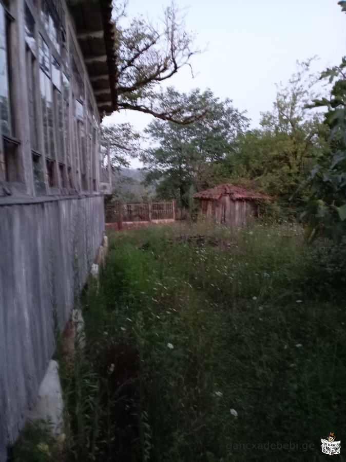 For sale, Kharagauli municipality, village In Borit, 3220 sq.m homestead plot with an oak house