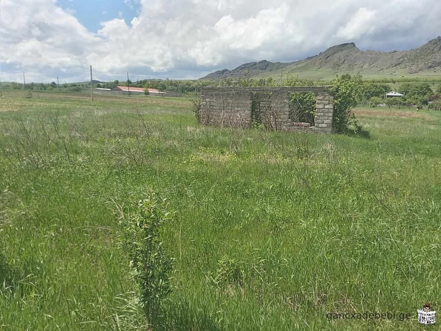 Land for sale in Akhaltsikhe, Tsnis village