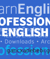 Professional taught languages - English, Hindi, Mahaji