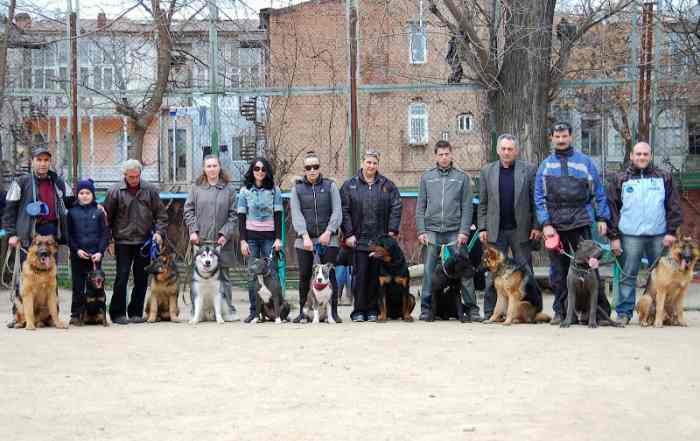 Спортивно дрессировачная площадка GEODOG school