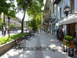 Appartement à louer sur l'avenue Rustaveli