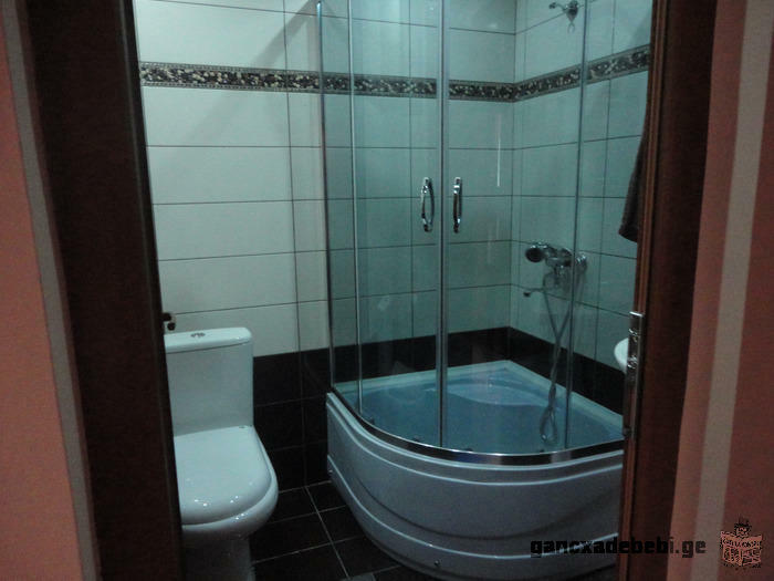 daily rent apartment in the center of Tbilisi